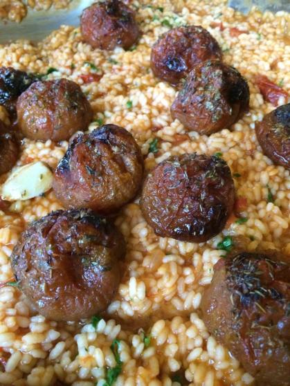 10154642_10201732743946061_689251802_n